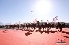 2025阿拉善骆驼超级联赛启幕